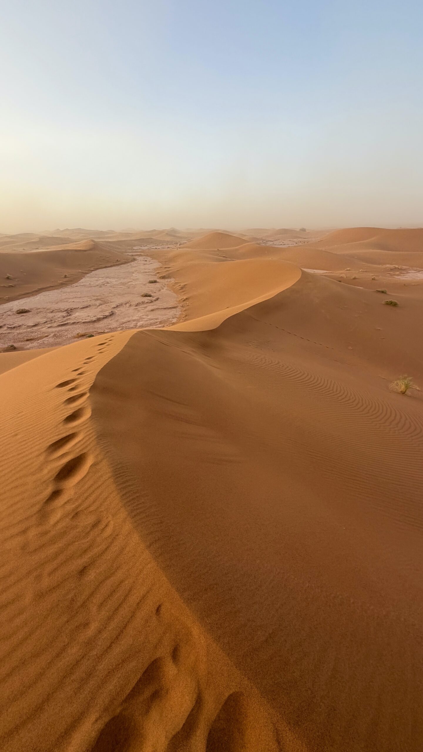 dune_1